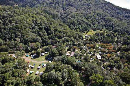 Mount Warning Rainforest Park - ACT Tourism 3