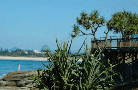 Pandanus Shores - ACT Tourism 5