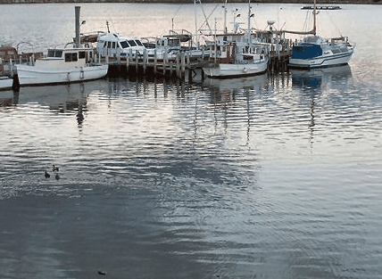 Hobart Apartments - ACT Tourism 1