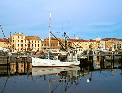 Hobart Apartments - ACT Tourism 4