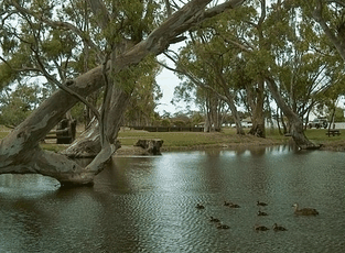 Bordertown Abode Parkland Motel - ACT Tourism 2