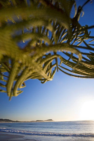 Terrigal Sails Serviced Apartments - ACT Tourism 5