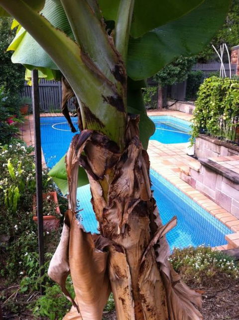 Bardon B&B - ACT Tourism 5