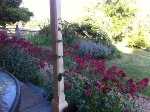 Cookes Cottage - ACT Tourism 2