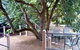 Magnolia House Marysville - thumb 0