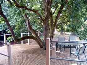 Magnolia House Marysville - ACT Tourism 0