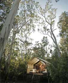 Paperbark Camp - ACT Tourism 0
