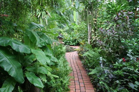 Shambhala Retreat Magnetic Island Cottages - ACT Tourism 7