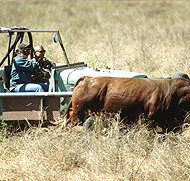 Bullo River Station - ACT Tourism