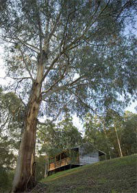 Ada VIC ACT Tourism