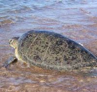 Mackerel Islands - ACT Tourism