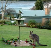 Gipsy Point Lakeside - ACT Tourism