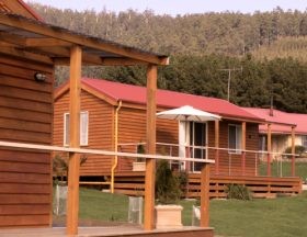 Maydena Country Cabins And Alpacas - ACT Tourism 0
