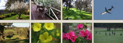 Moondyne Country Convention Centre - ACT Tourism 2