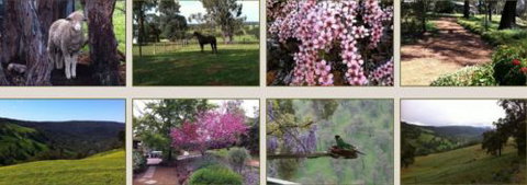 Moondyne Country Convention Centre - ACT Tourism 3