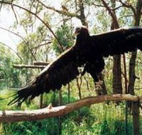 Curlew Hill Sanctuary - ACT Tourism