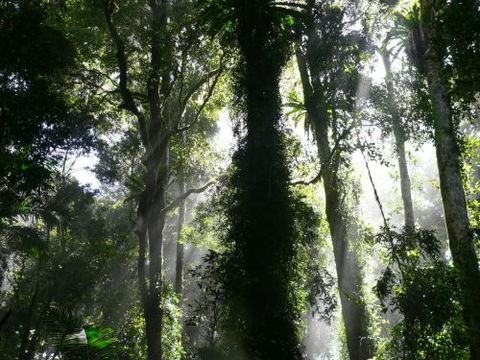 Alcheringa Holiday House - ACT Tourism 6