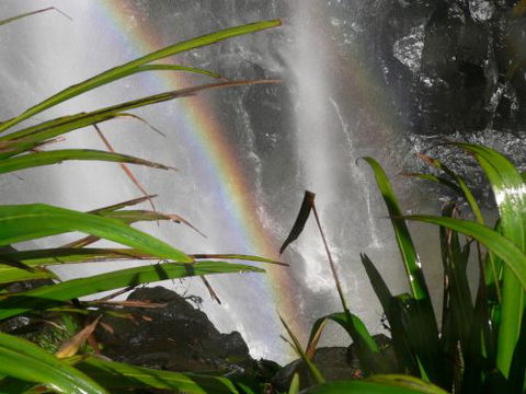 Alcheringa Holiday House - ACT Tourism 7