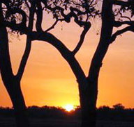 Coodardie Station Stay - ACT Tourism