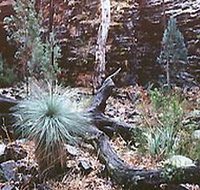 Alligator Lodge - ACT Tourism