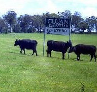 Cluan Homestead - ACT Tourism