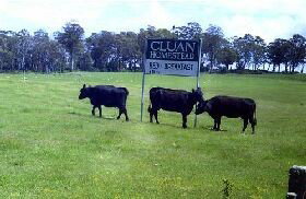 Cluan Homestead - ACT Tourism 0