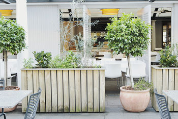 Coogee Bay Hotel - Boutique - ACT Tourism 73