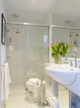 Andre's Mews Luxury Serviced Apartments - ACT Tourism 24