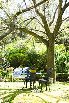 Adeline Bed And Breakfast - ACT Tourism 7