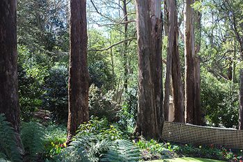 Adeline Bed And Breakfast - ACT Tourism 8