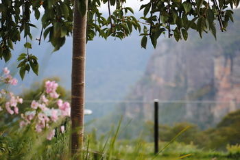 Echoes Boutique Hotel And Restaurant - ACT Tourism 13