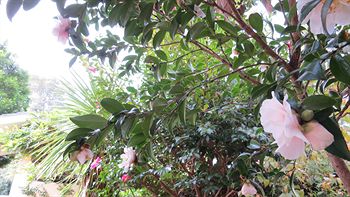 Waldorf Hornsby Residential Apartments - ACT Tourism 3