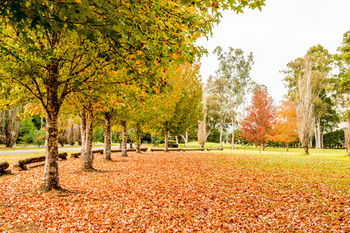 Retreat At Wisemans - ACT Tourism 12