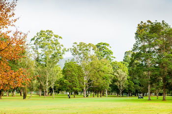 Retreat At Wisemans - ACT Tourism 17