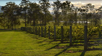 H Boutique Hotel - ACT Tourism 34