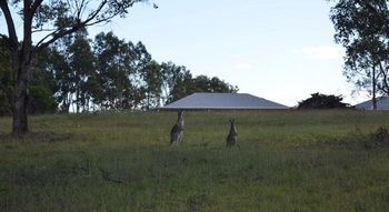 H Boutique Hotel - ACT Tourism 40