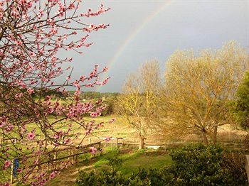 Australian Home Away @ Wonga Park Brushy Creek - ACT Tourism 9