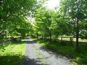 Australian Home Away @ Wonga Park Brushy Creek - ACT Tourism 10