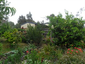 Australian Home Away @ Wonga Park Brushy Creek - ACT Tourism 14