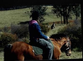 Hill Top Country Guest House - ACT Tourism 4