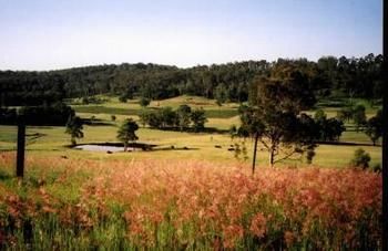 Hill Top Country Guest House - ACT Tourism 10