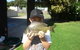 Edgewater Motel Ulladulla - thumb 10