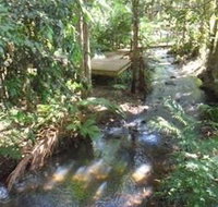 Treetops Accommodation Montville - ACT Tourism