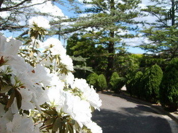 Tantarra Bed And Breakfast - ACT Tourism 15