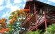 Maleny Tropical Retreat Balinese B&b - thumb 9
