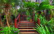 Maleny Tropical Retreat Balinese B&b - thumb 14