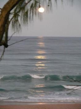 Andari - ACT Tourism 2