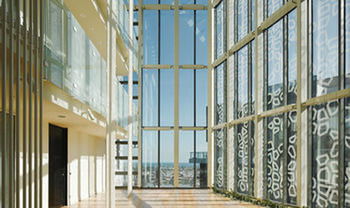 D'One Luxury Apartments - ACT Tourism 12