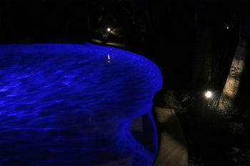 Alaya Escape - ACT Tourism 34