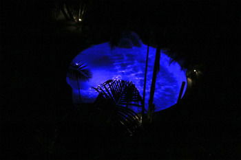 Alaya Escape - ACT Tourism 44